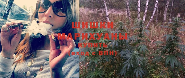 бошки Няндома