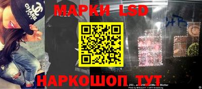 шишки Кимры