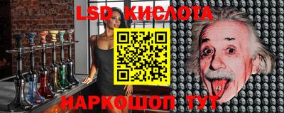 шишки Кимры