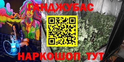 шишки Кимры