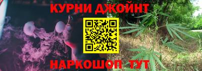 шишки Кимры