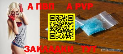 шишки Кимры