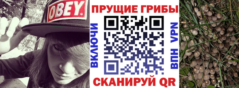 Псилоцибиновые грибы прущие грибы Кулебаки