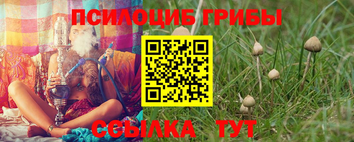 Кулебаки  Псилоцибиновые грибы мухоморы  Вход с VPN 