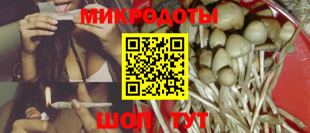 Псилоцибиновые грибы Psilocybine cubensis Кулебаки