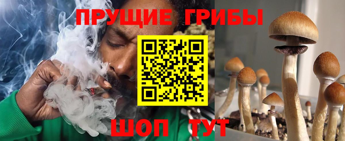 Галлюциногенные грибы GOLDEN TEACHER  Галлюциногенные грибы Psilocybe  закладки  Кулебаки 