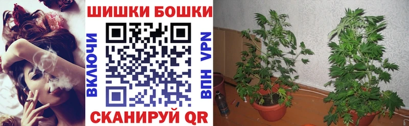 Марихуана семена  Кулебаки 